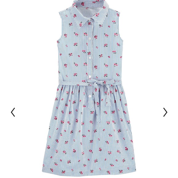 Carter's Other - Girls Carter's Floral Striped Shirt Dress